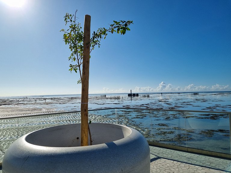 Duplex Beira-Mar Pajuçara | Perto da Roda Gigante